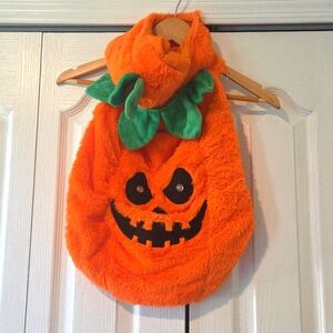 Light Up Pumpkin Puppy Dog Halloween costume Large